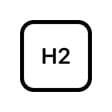 h2 chip