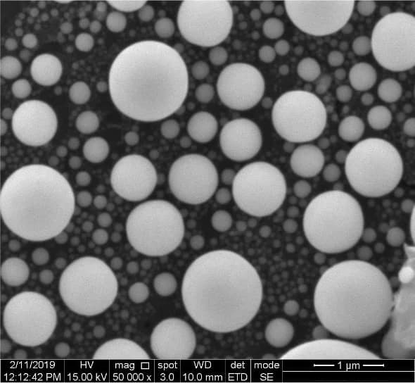 Thermofisher Scientific PRISMA E SEM DVIA-MB1000 설치 보고서