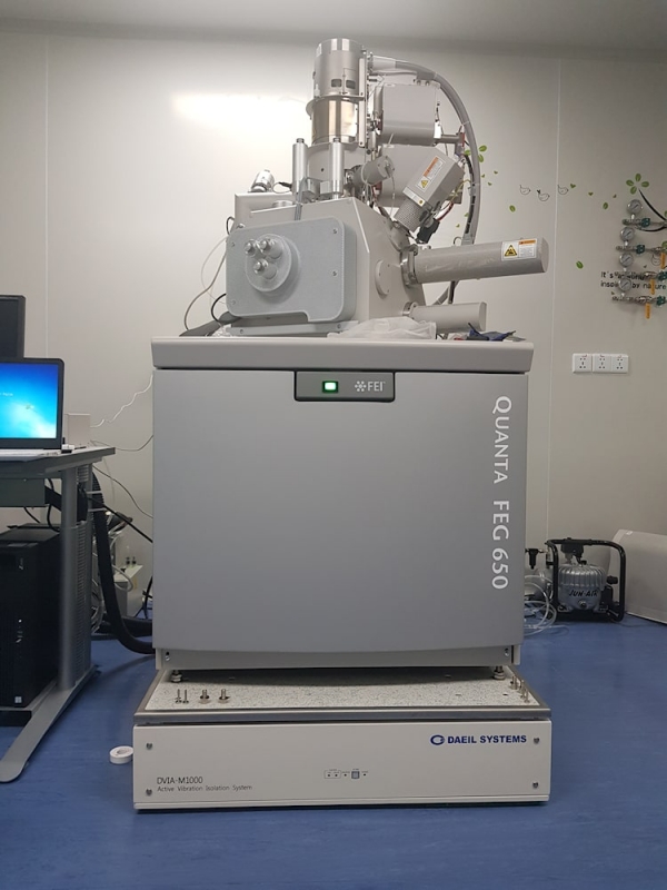 FEI-SEM-QUANTA-FEG-650