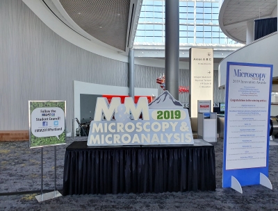 Microscopy-and-Microanalysis-2019-01