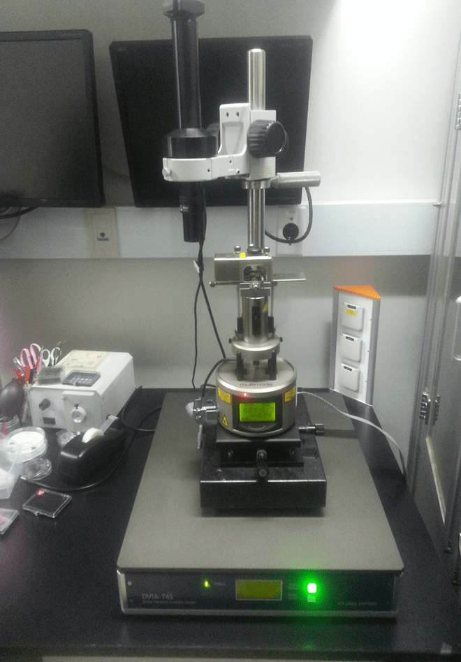 BRUKER AFM MULTIMODE