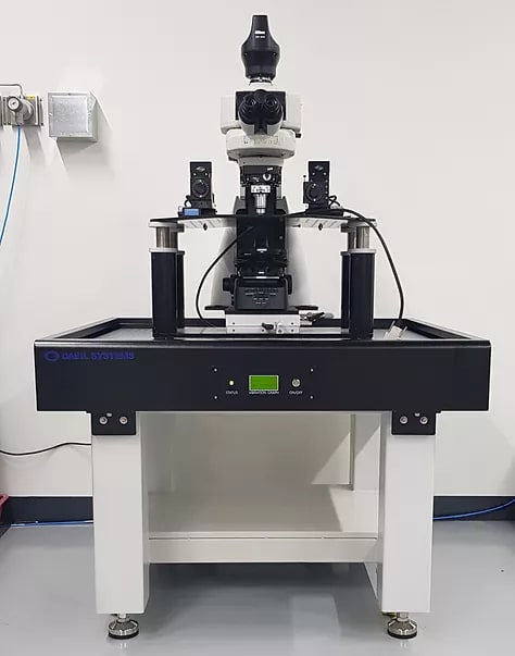 LIVE CELL IMAGING MICROSCOPE